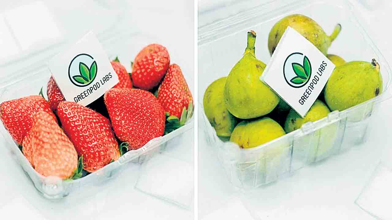 ఎకో ఫ్రెండ్లీ సాచెట్లతో ఫ్రిడ్జ్‌ లేకున్నా పండ్లు, కూరగాయలు పాడవవు