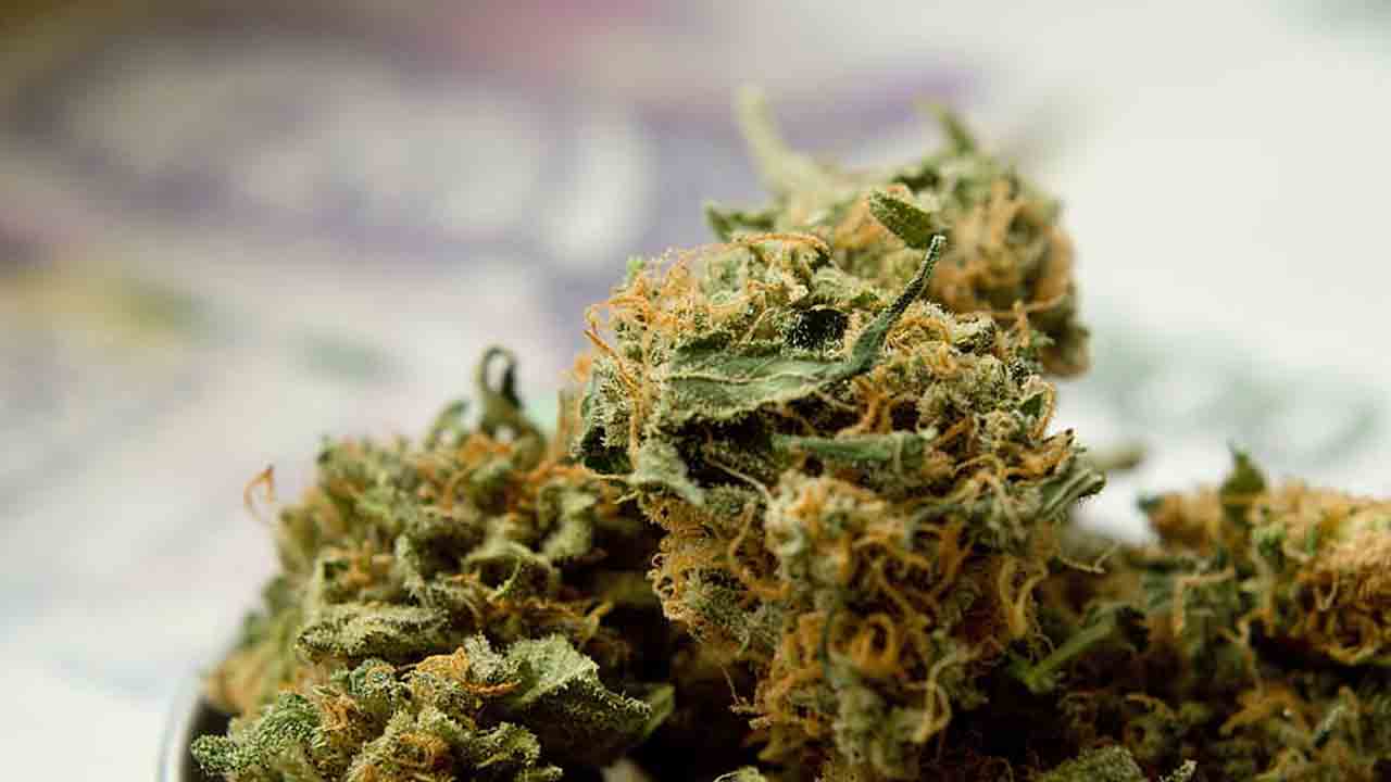 గంజాయి విక్రయిస్తున్న లారీ డ్రైవర్‌ అరెస్టు