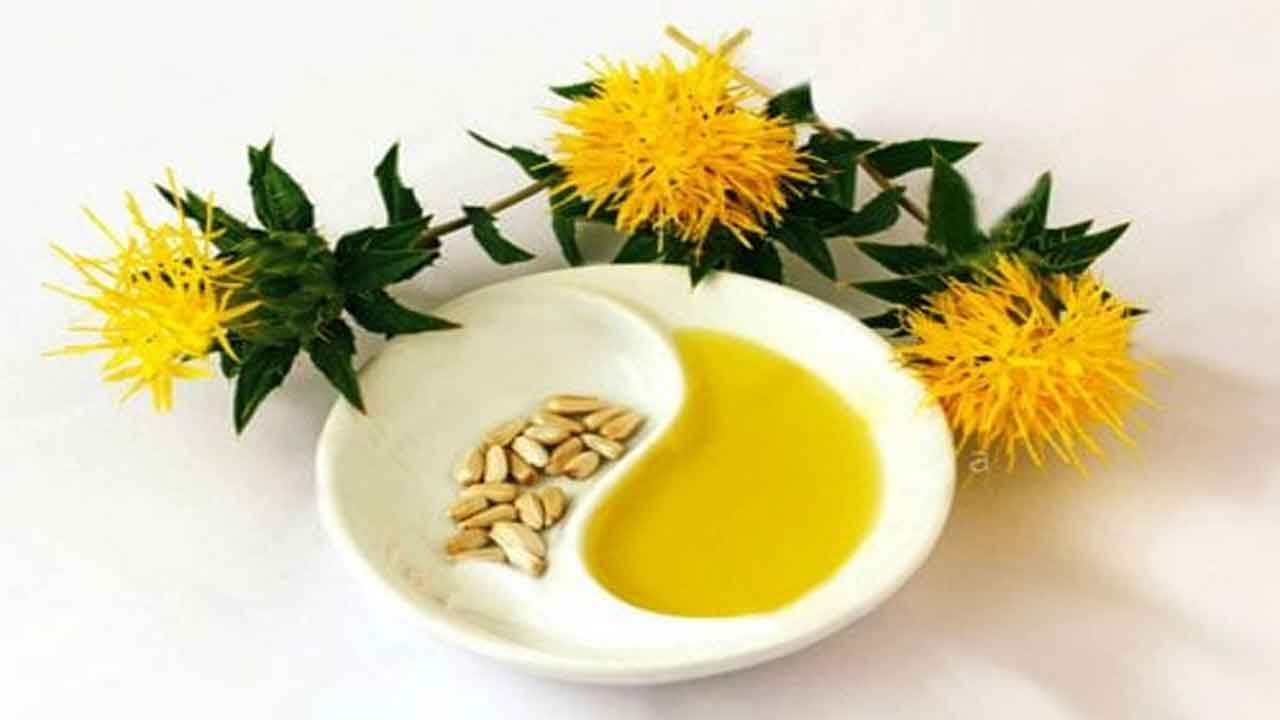 Safflower oil Benefits | కుసుమ నూనెతో లావు తగ్గడం సాధ్యమేనా..?