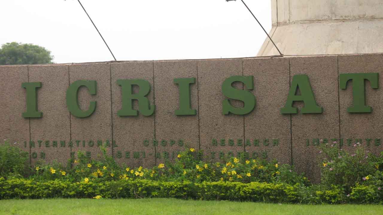 కొత్త శనగల వంగడాలతో అధిక దిగుబడి