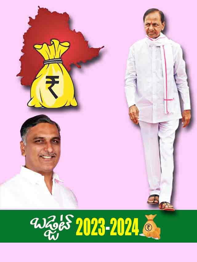 తెలంగాణ బడ్జెట్‌లో కీలక కేటాయింపులు ఇవే