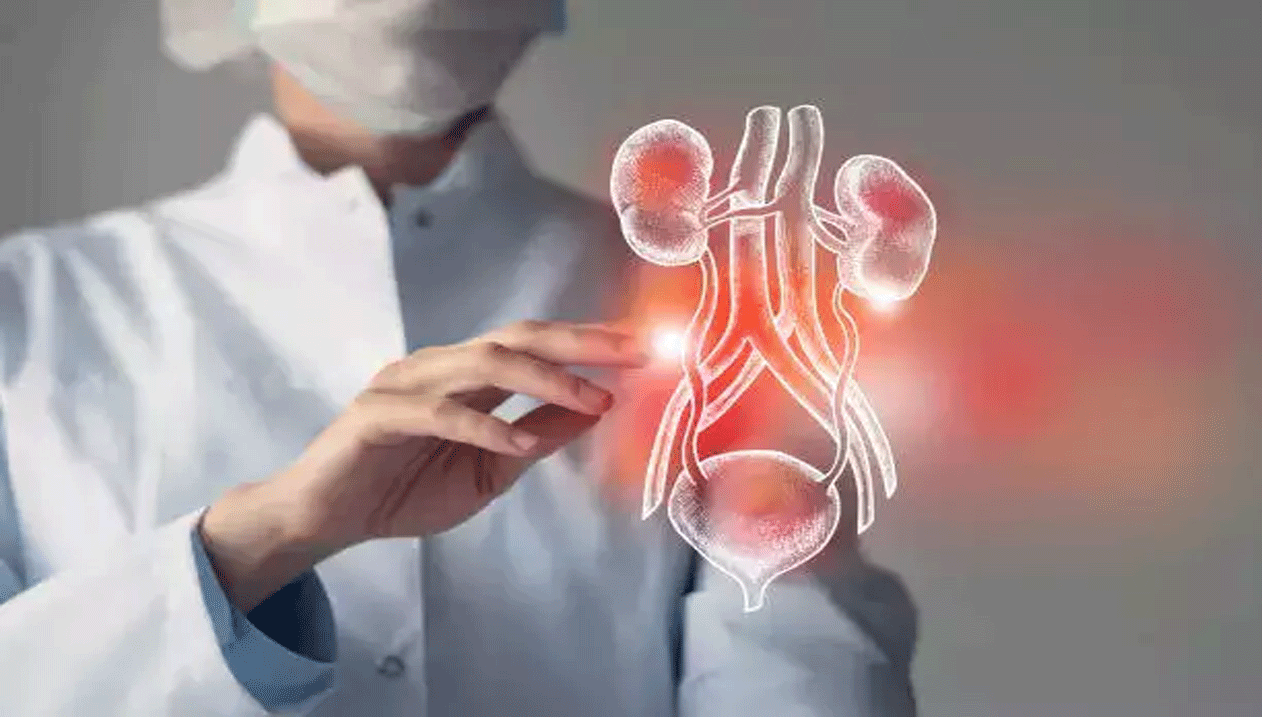 Health Tips | ఈ జాగ్ర‌త్త‌ల‌తో కిడ్నీల ప‌నితీరు మెరుగు