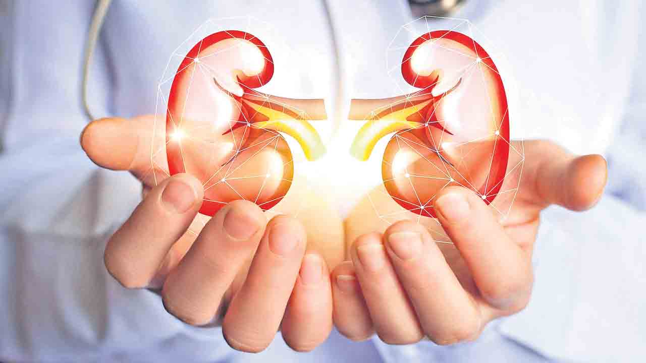 కిడ్నీలకు.. ఆహార చికిత్స!