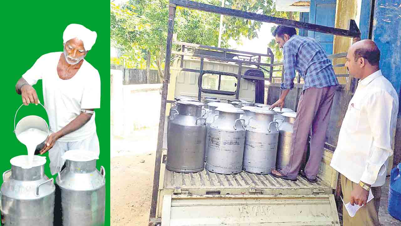 పాడి రైతుకు ప్రభుత్వ భరోసా