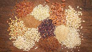 బ‌డ్జెట్ ప్ర‌సంగం హైలైట్స్‌లో మిల్లెట్స్ ప్ర‌స్తావ‌న‌