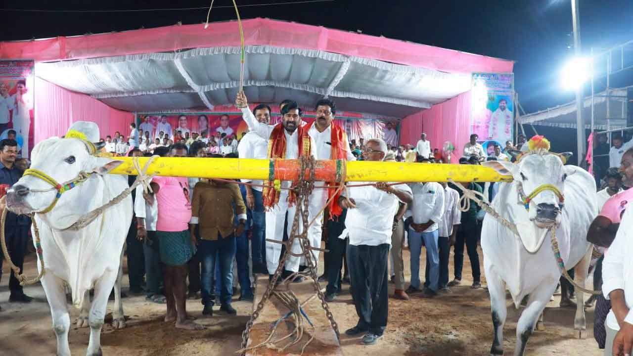 ఎద్దుల పందేలతో వ్యవసాయ రంగానికి ఉత్సాహం