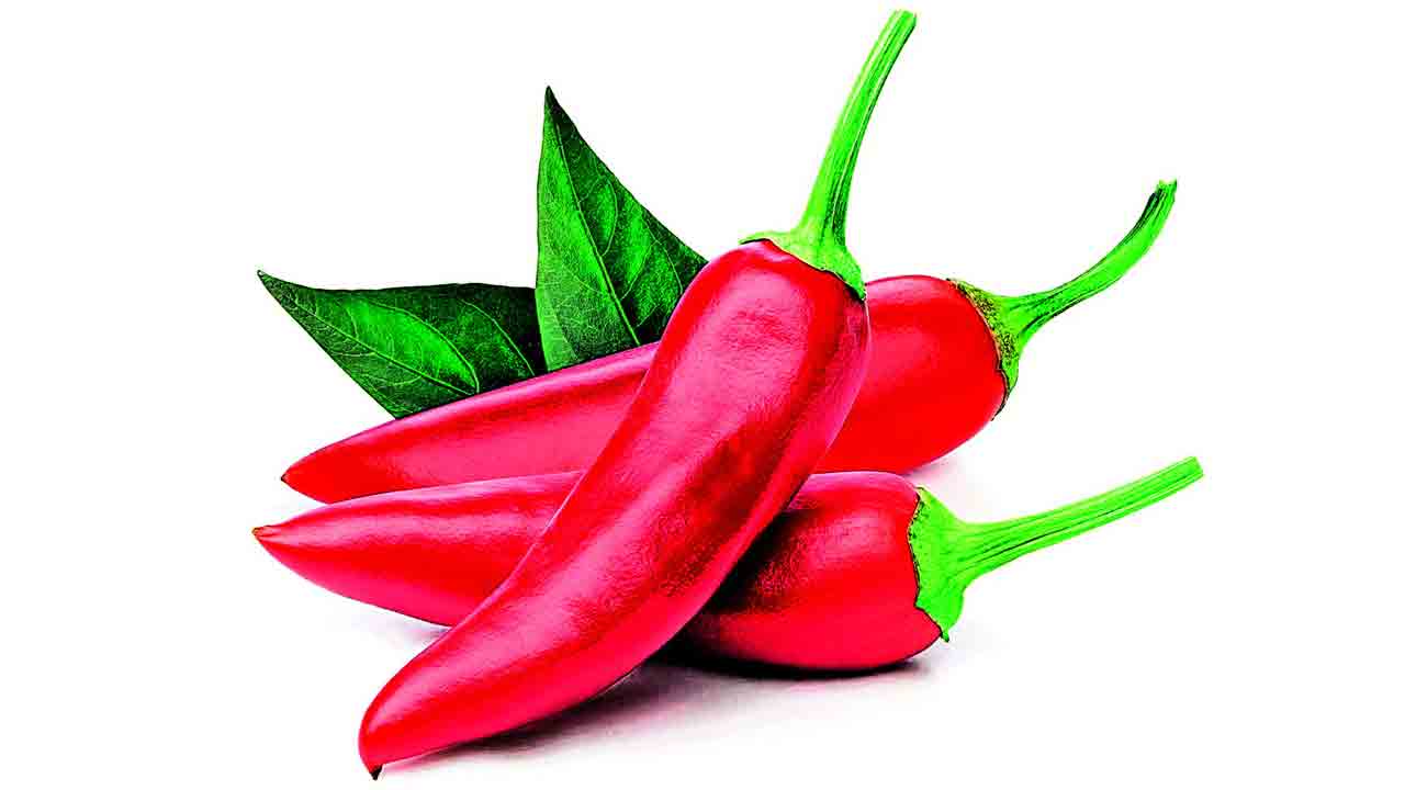 దేశీ మిర్చి.. రైతన్నకు సిరి