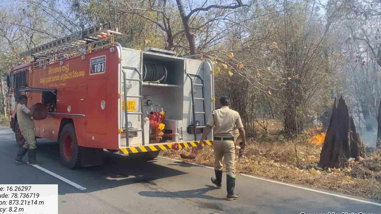 Nallamalla Forest | న‌ల్ల‌మ‌ల అడ‌వుల్లో ఎగిసిప‌డుతున్న మంట‌లు
