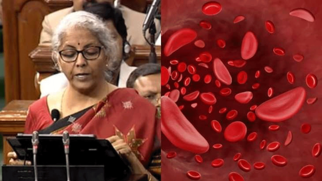 Union Budget | బడ్జెట్‌లో చెప్పిన సికిల్‌ సెల్‌ ఎనీమియా అంటే ఏంటి? దానికి ఎలాంటి చికిత్స అందిస్తారు?
