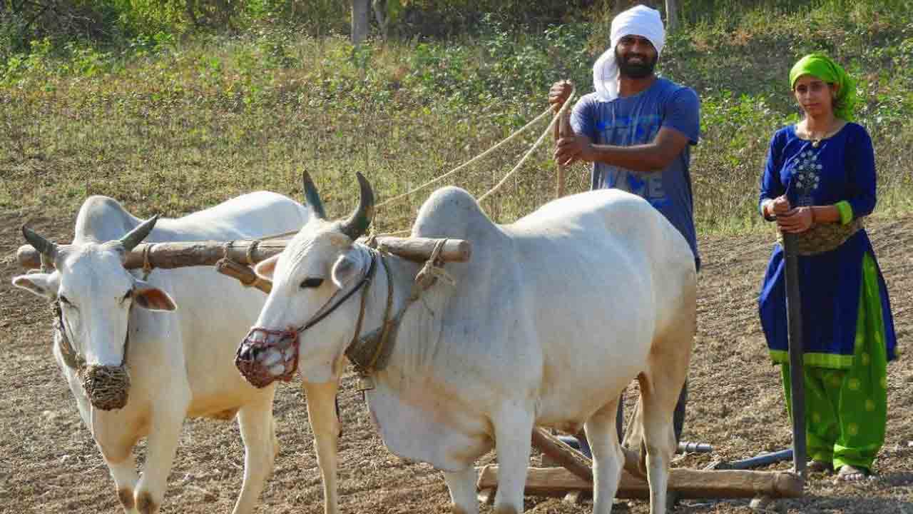 Gramheet | రైతుల కోసం ఈ దంపతులు పడుతున్న కష్టాన్ని ఫోర్బ్స్‌ గుర్తించింది