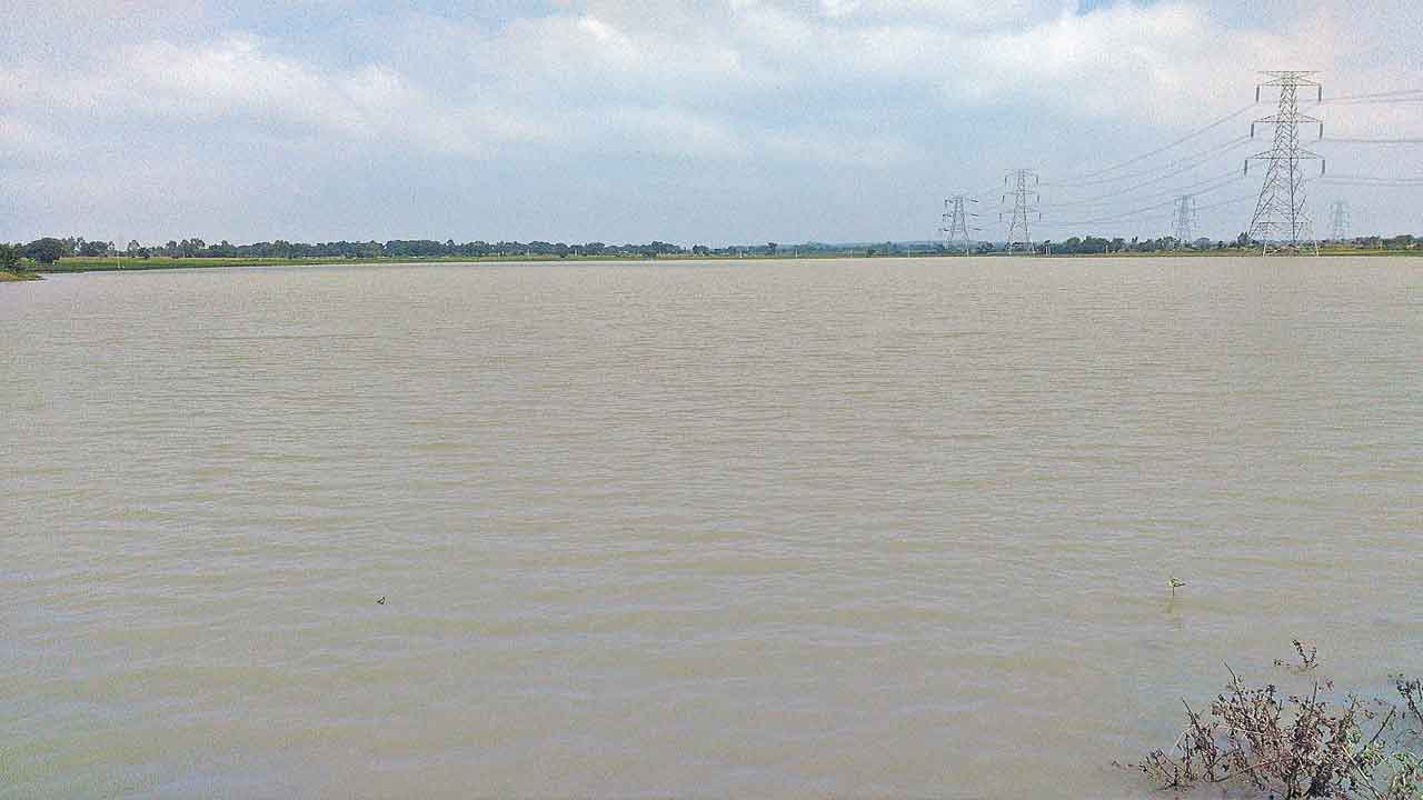 ‘కాకతీయ’పై పంజాబ్ అధ్యయనం