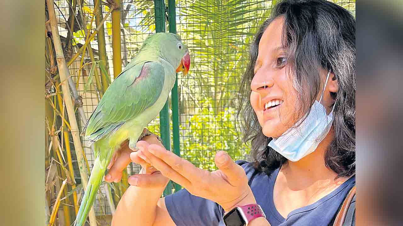 feather library | పిట్టల ఈకలకు ఓ లైబ్రరీ.. ఎక్కడుందో తెలుసా