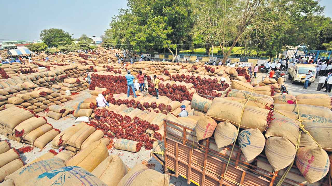 ఎర్రబంగారం @ 20,800