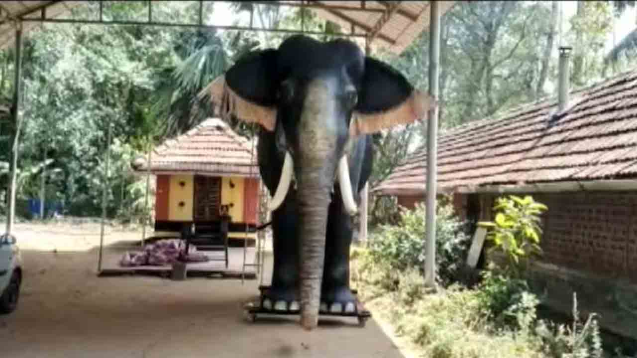 Robotic elephant | కేరళలోని శ్రీకృష్ణ ఆలయంలో భగవంతుని సేవకు రోబోటిక్‌ ఏనుగు