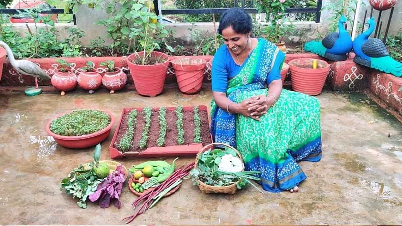 మిద్దెతోటతో ఫేమస్‌!