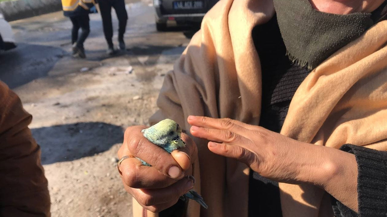 చిలుక‌ను చేతుల్లో ప‌ట్టుకుని.. 55 గంట‌లు శిథిలాల కిందే చిన్నారి