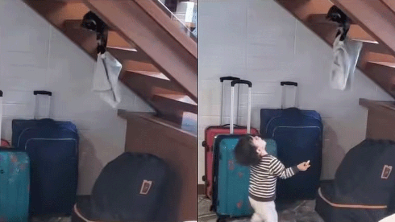 Viral Video | క్యాట్‌తో క్యాచ్‌లు ప్రాక్టీస్ చేసిన చిన్నారి : ఆక‌ట్టుకుంటున్న క్యూట్ వీడియో