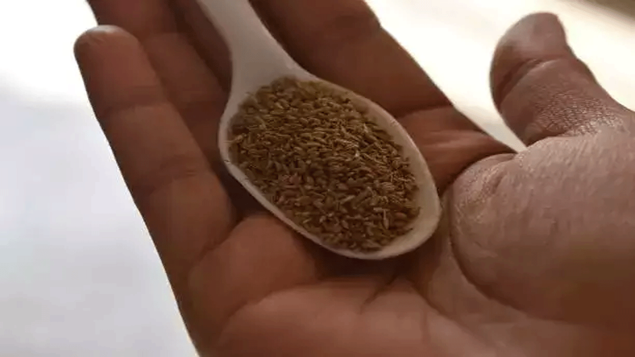 Health Tips | ఈ చిట్కాతో క‌డుపు నొప్పి, అజీర్తి స‌మ‌స్య‌ల‌కు చెక్