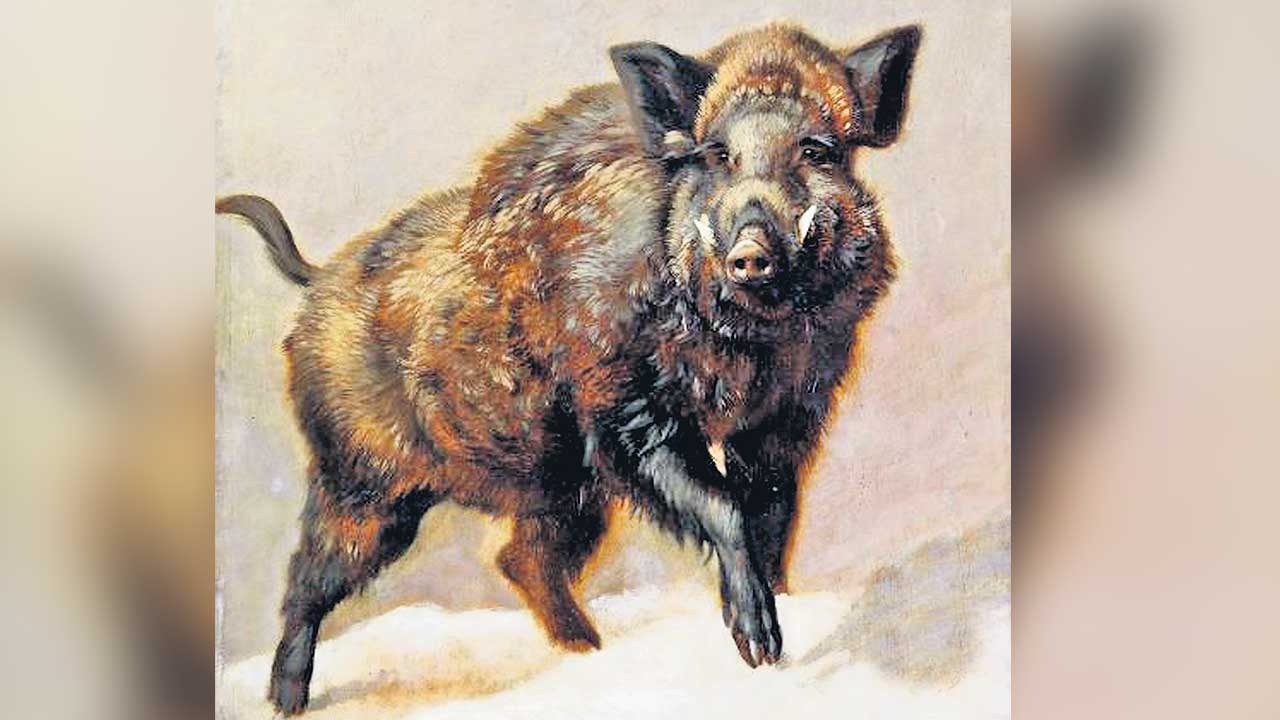 మృగంపై మాతృత్వం గెలిచింది