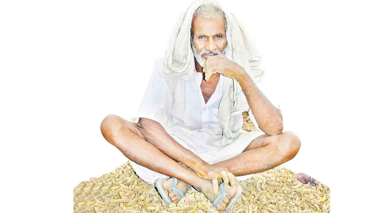 ఉపాధికి ఉరి