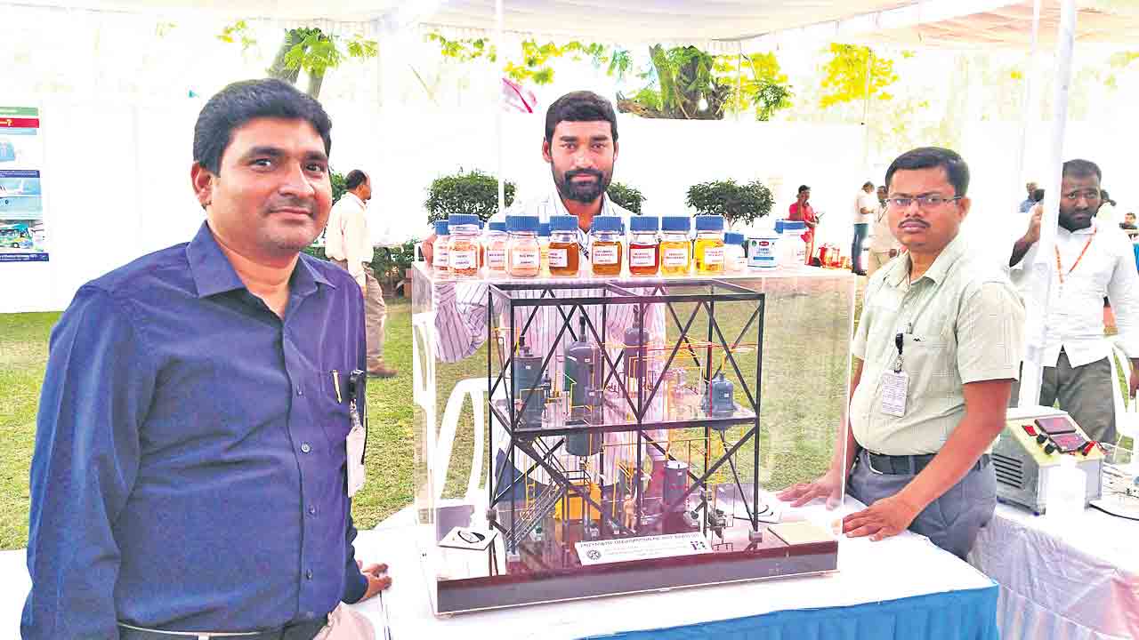 100 శాతం నూనె ఉత్పత్తి