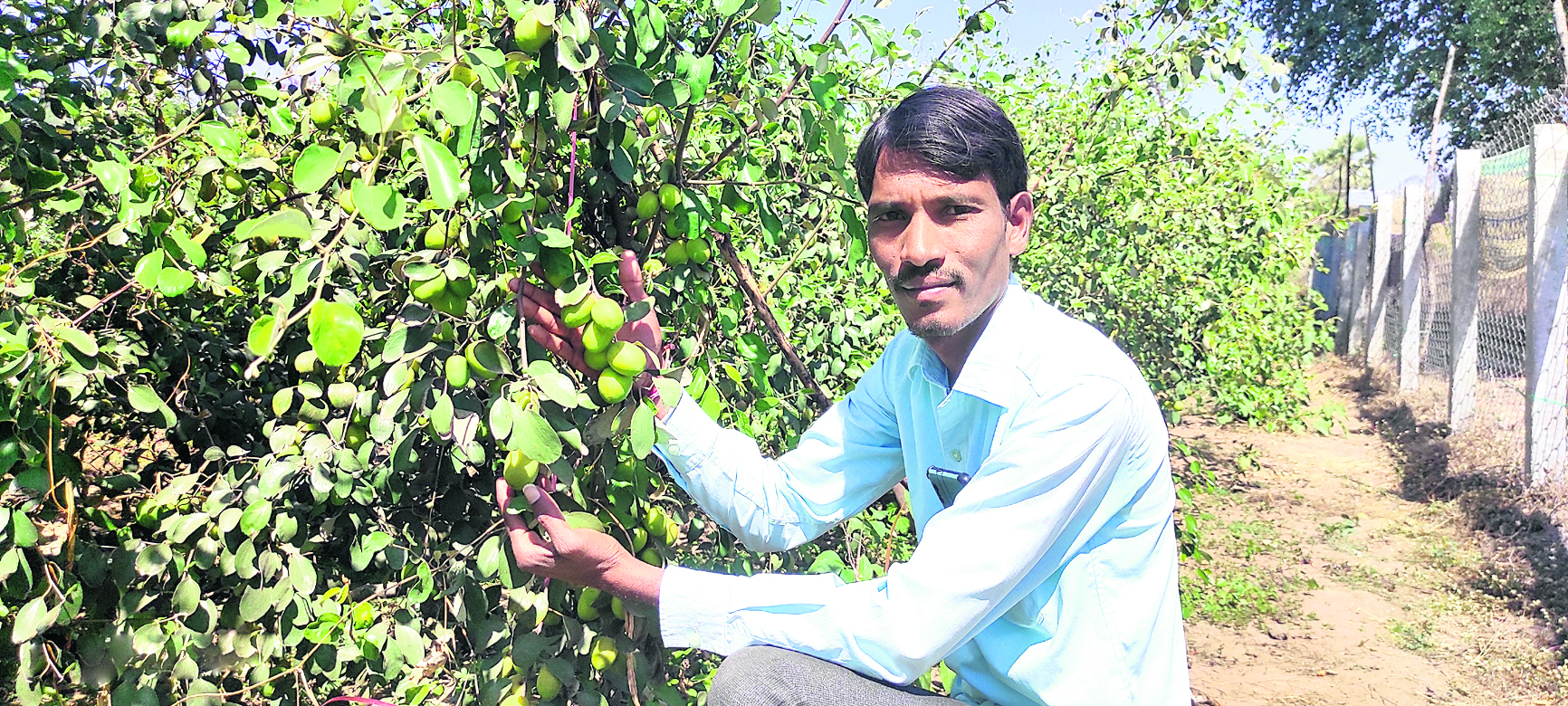 Adilabad | డ్రైవర్‌గా వెళ్లినప్పుడు ఆలోచన.. 30 గుంటల్లో వ్యవసాయం మొదలుపెట్టి లక్షలు సంపాదిస్తున్న కిష్టంపేట వాసి