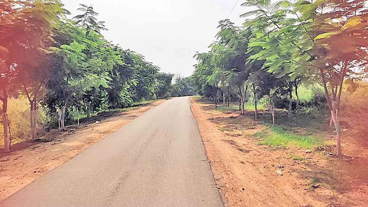 హరితవనంగా హాజిపల్లి