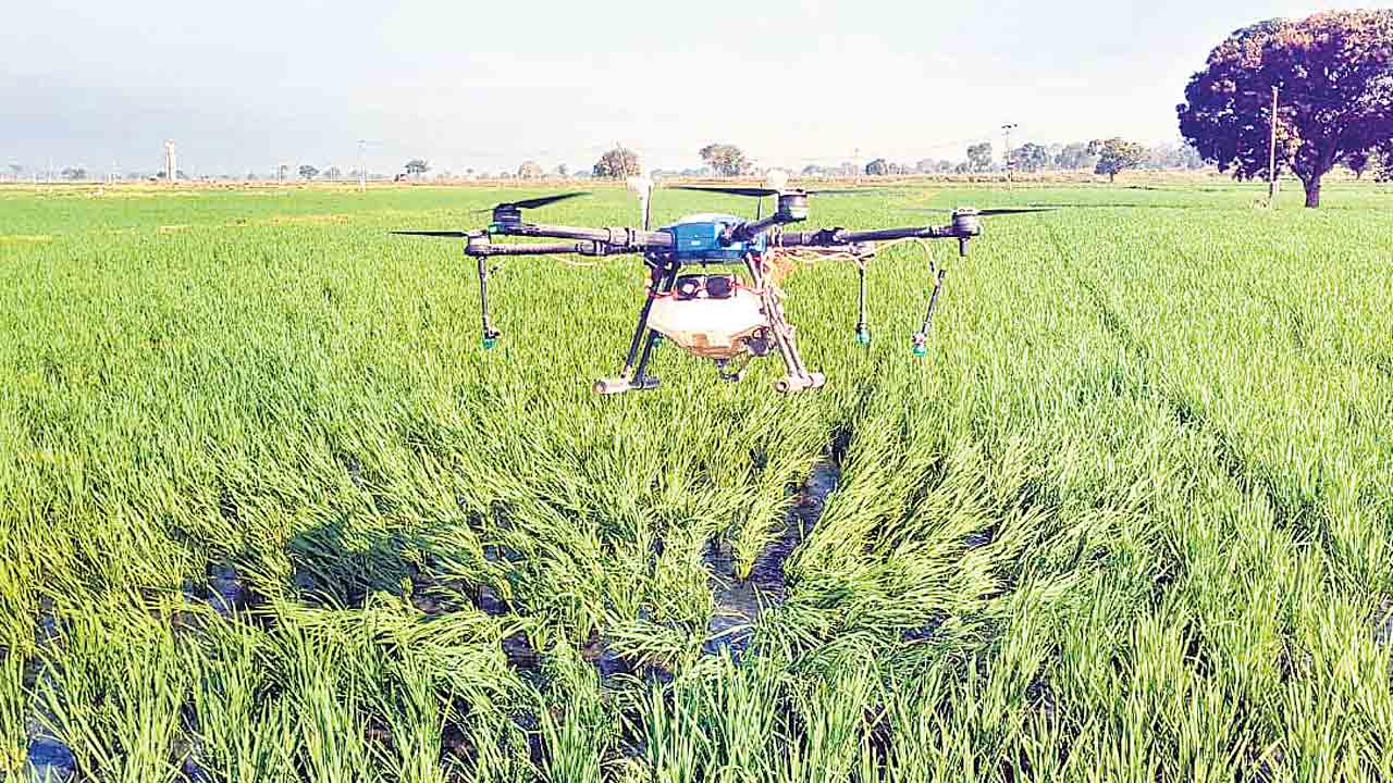 డ్రోన్‌ స్ప్రేయర్‌తో రైతుల కష్టాలకు చెక్‌