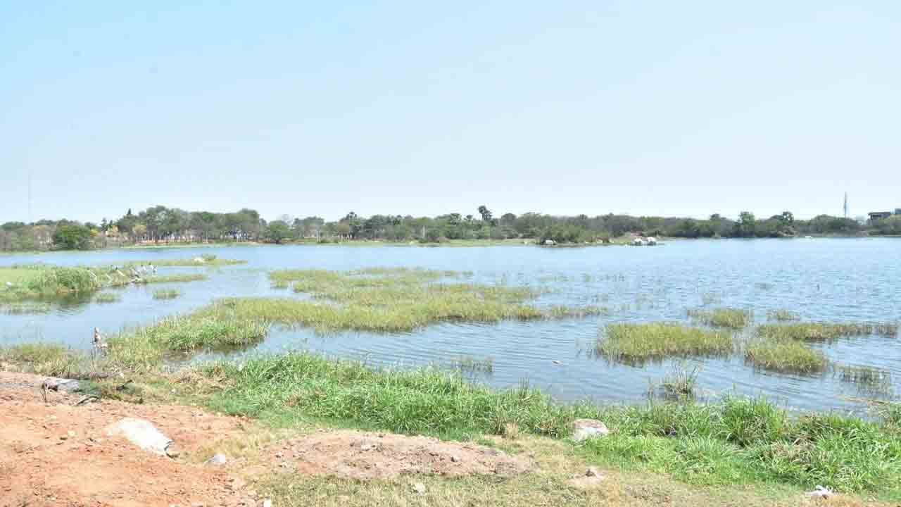 మరో లక్నవరం.. మన జలాల్‌పూర్‌