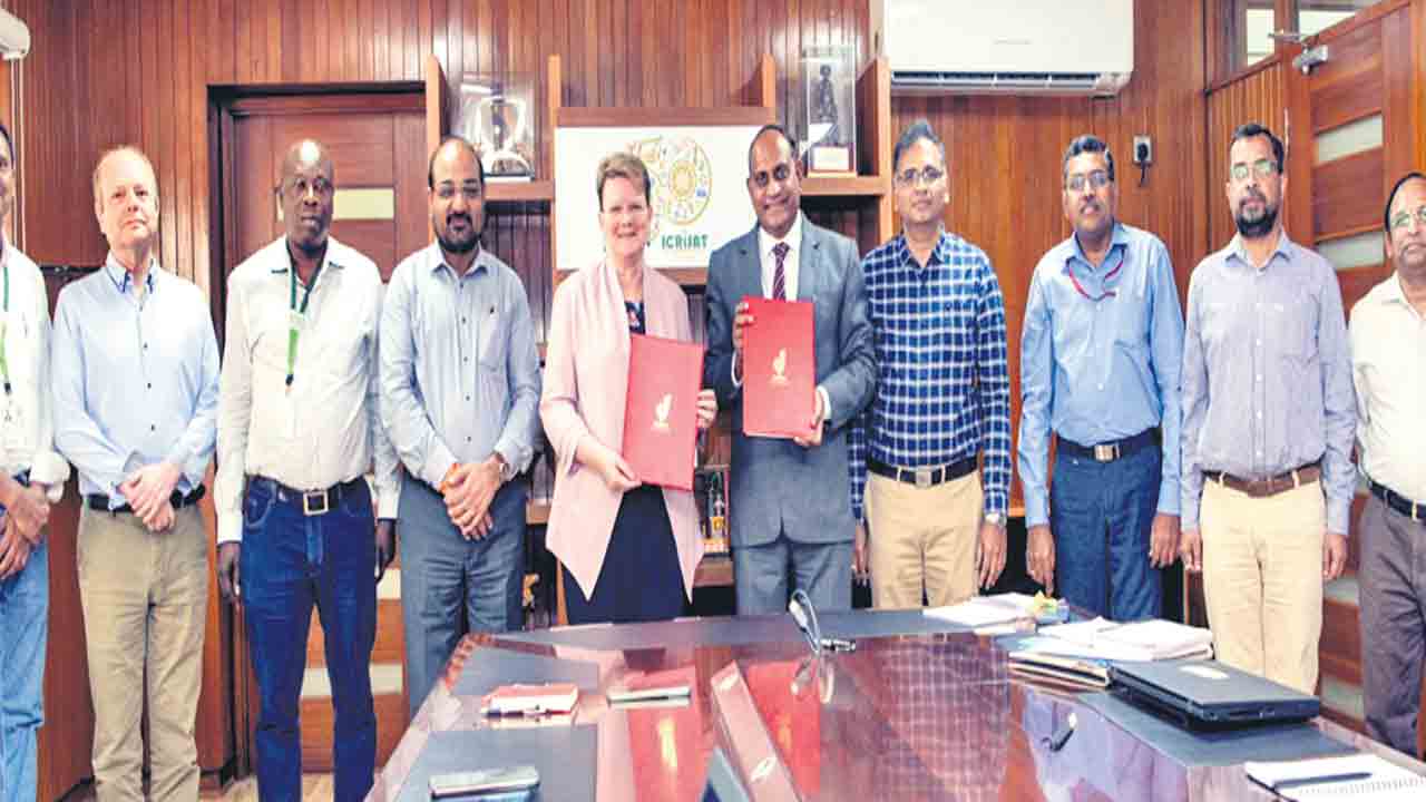 దిగుమతి తగ్గించి..దిగుబడి పెంచేలా..