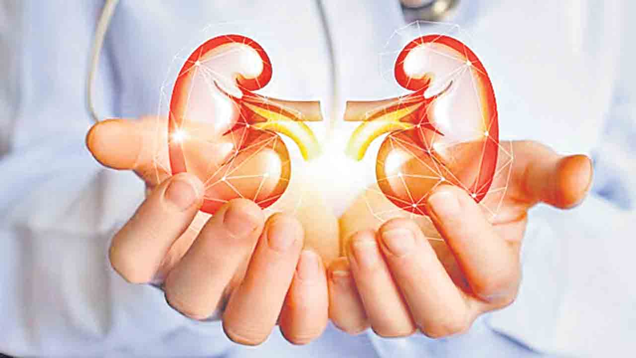 Kidney Health |  మీ కిడ్నీలు ఎంతవరకు భద్రం? ఇలా పాడవ్వకముందే తెలుసుకోండి..