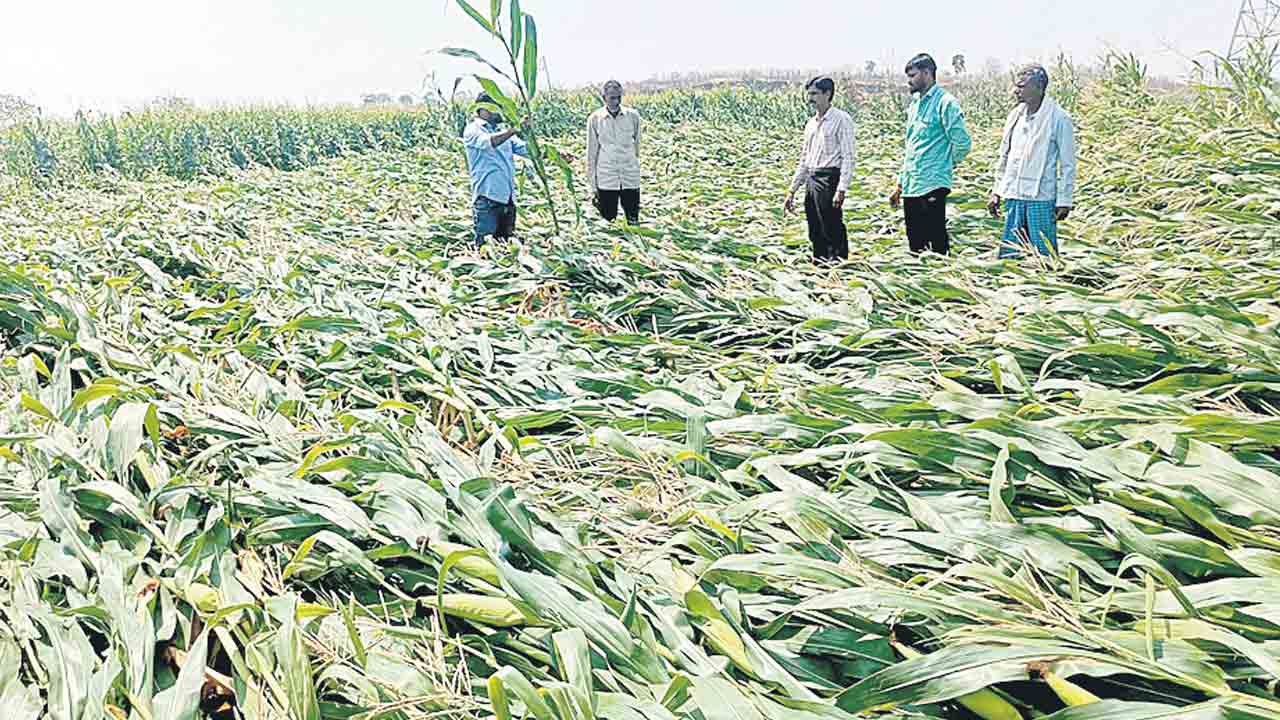 వడగండ్ల వాన.. తీరని నష్టం
