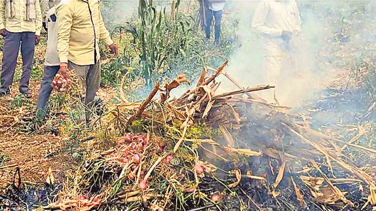 ఉరి కొయ్యకు రైతన్న