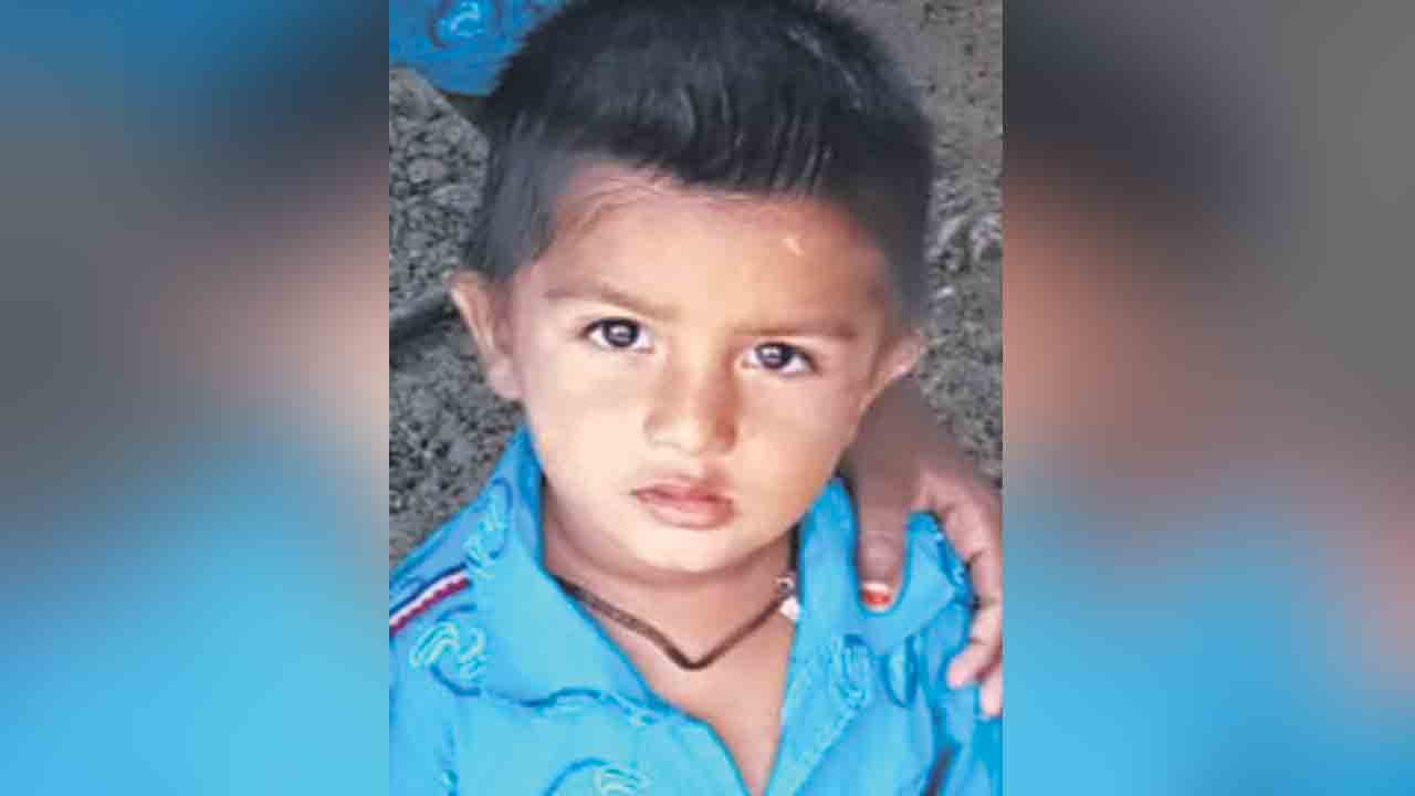 వీధి కుక్కల దాడిలో బాలుడి మృతి