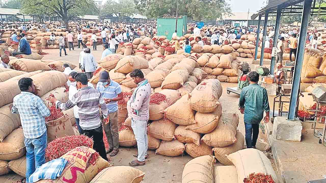 Telangana Mirchi |  తెలంగాణ మిర్చి నంబర్‌ వన్‌.. గుంటూరును మించిన ఖమ్మం
