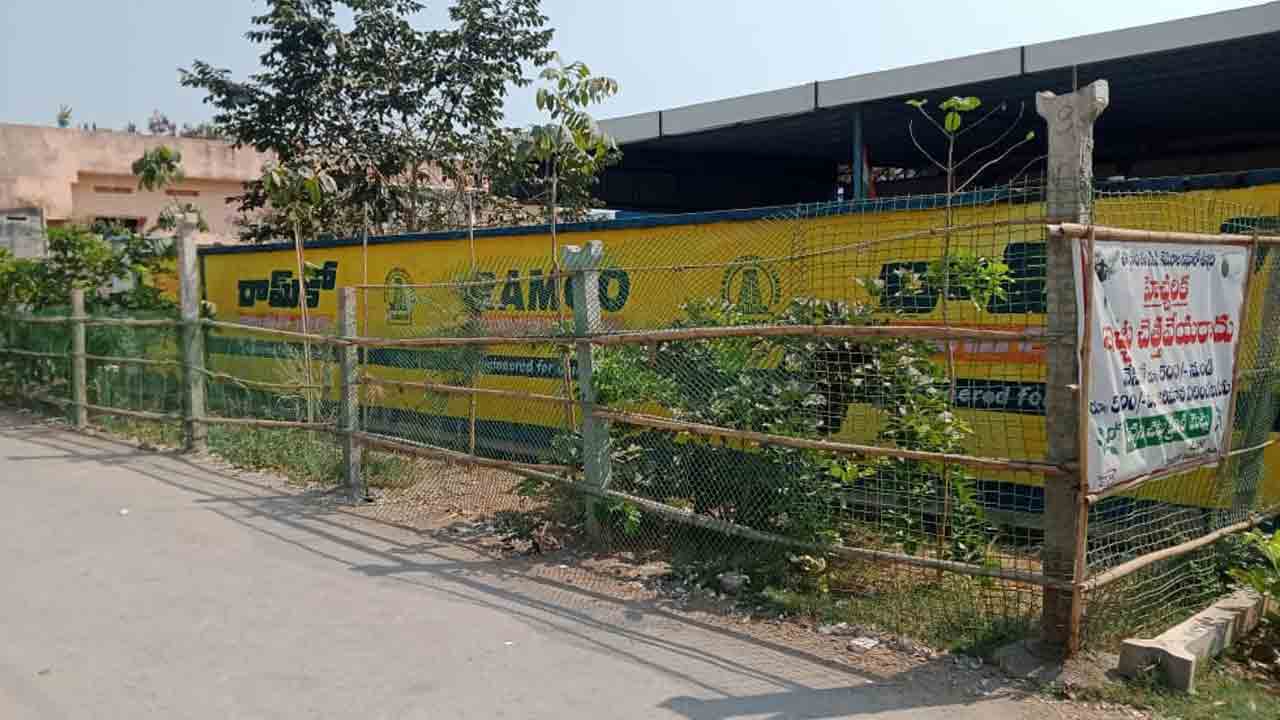 చెత్త ఎత్తు.. చెట్టు నాటు