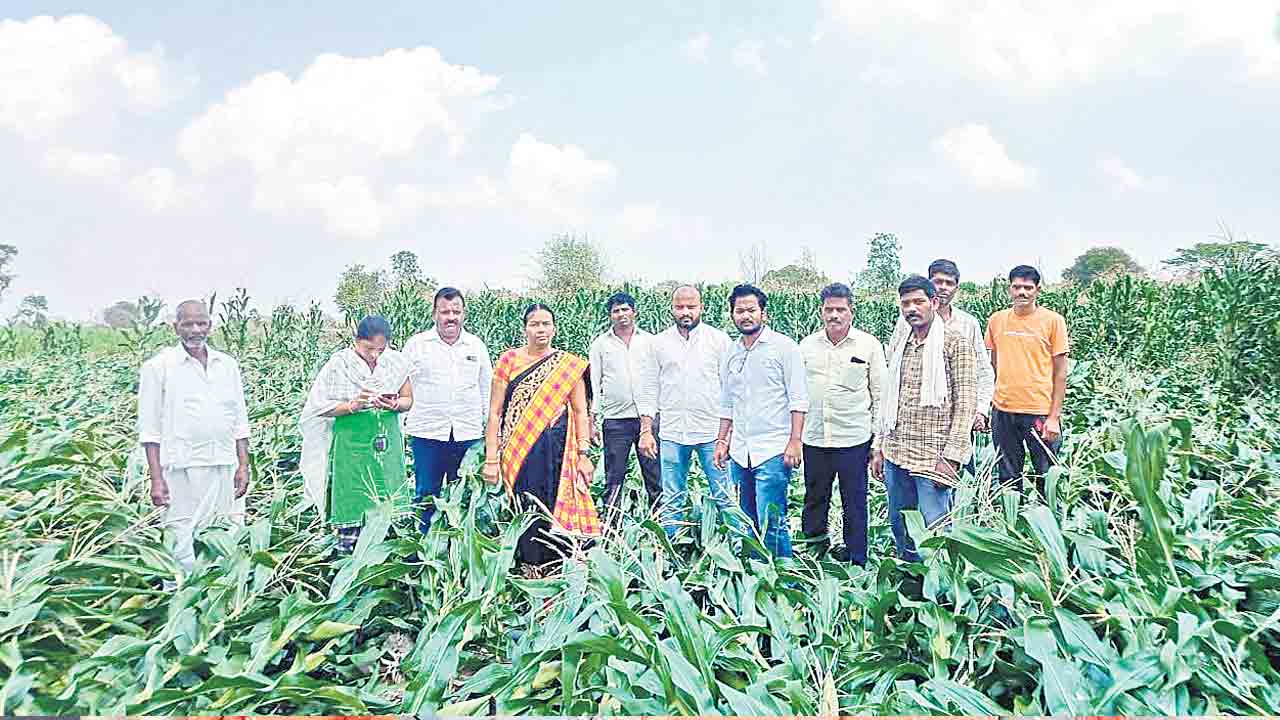 నేలవాలిన ఆశలు…!