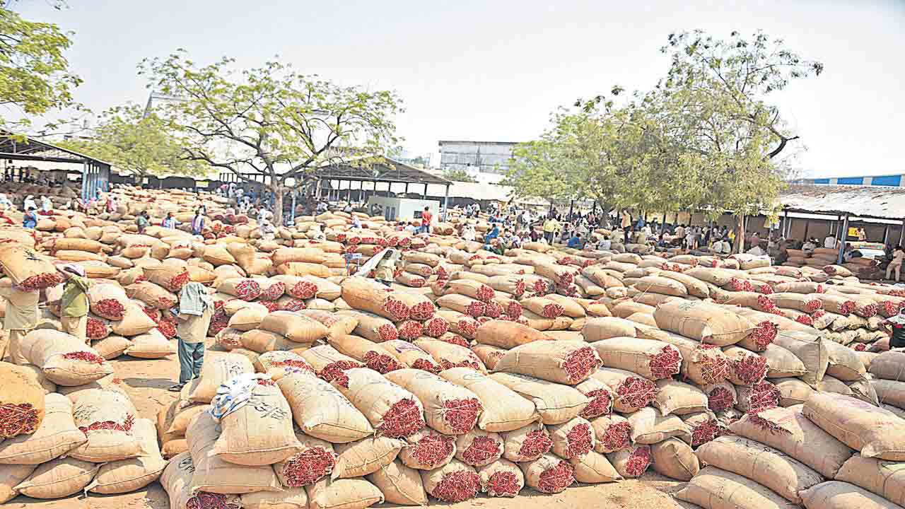 అర్హులందరికీ సంక్షేమ పథకాలు