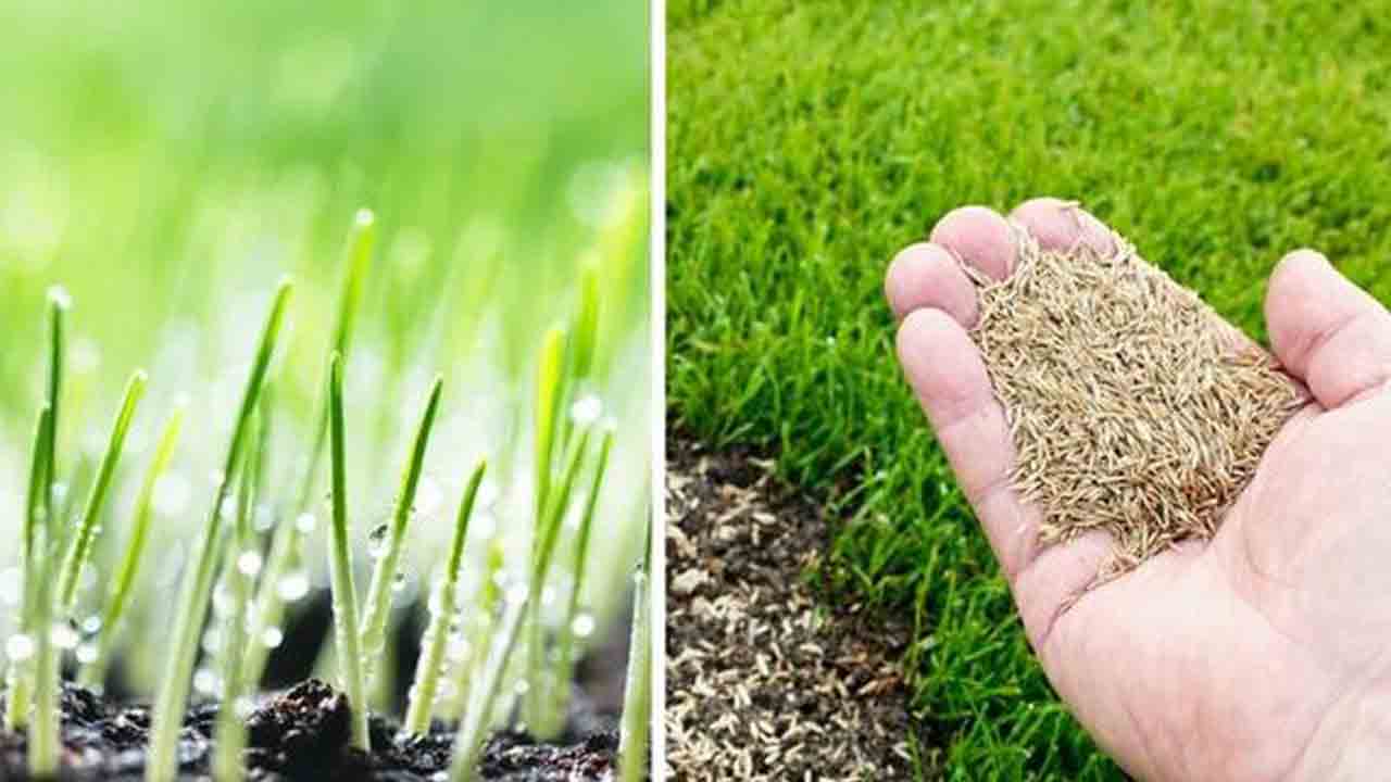 పాడి రైతులకు భరోసా