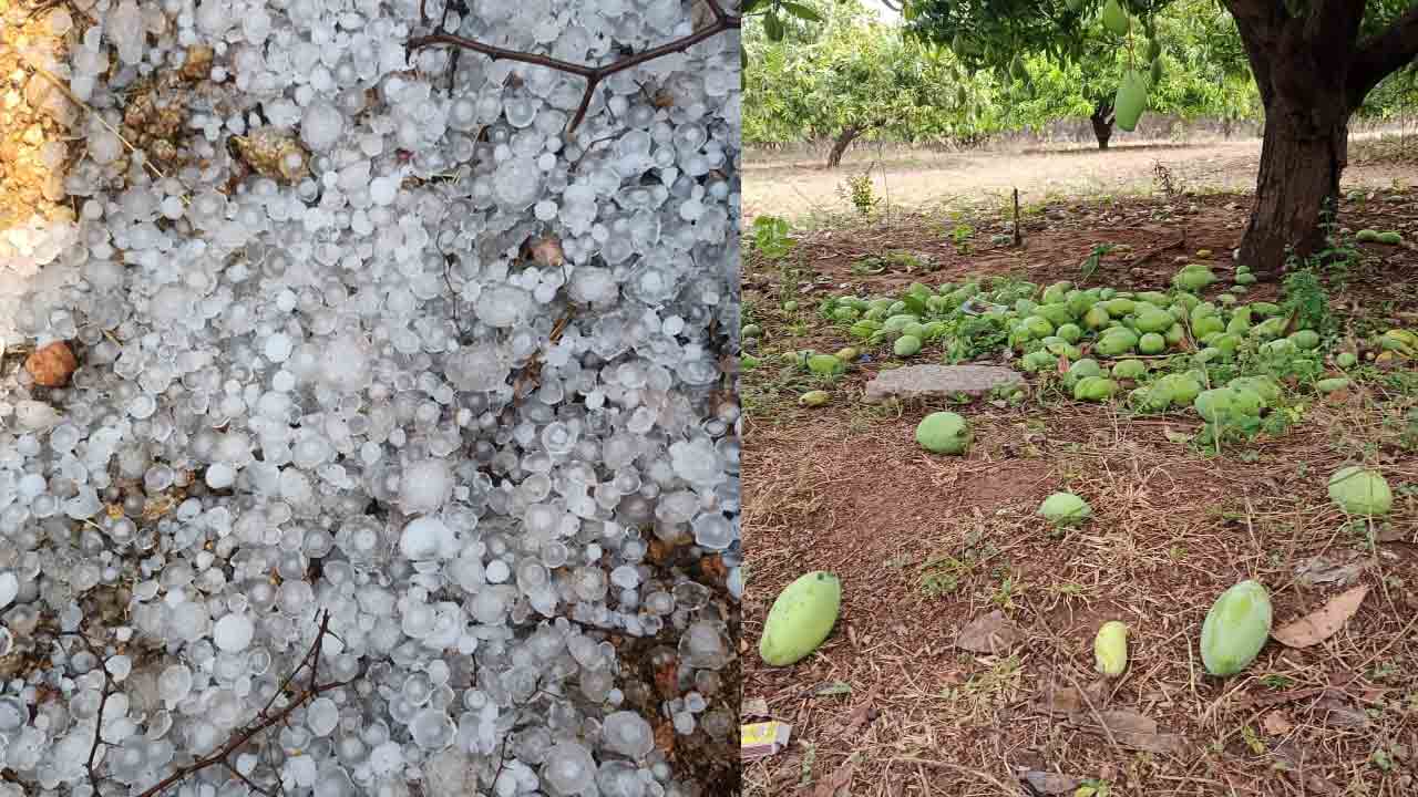 వడగండ్ల బీభత్సం