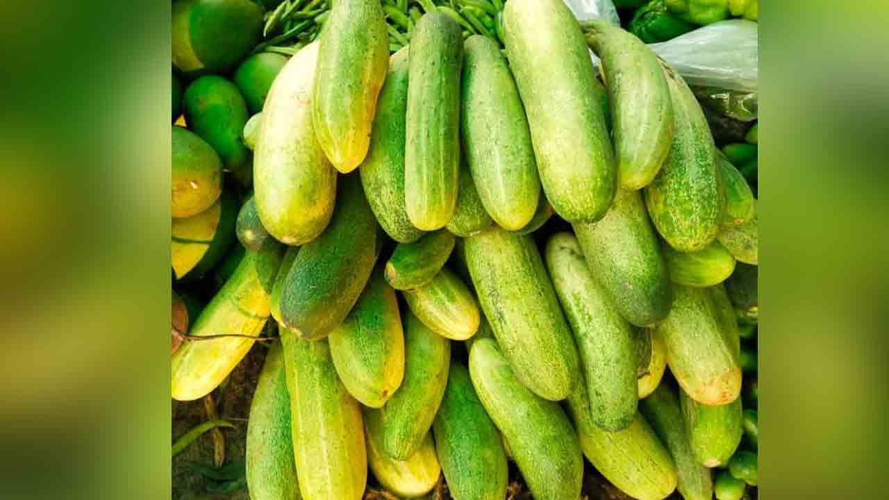 Cucumber | ఎండాకాలంలో దొరికే కీరదోసను తొక్క తీసి తినడం మంచిదేనా?