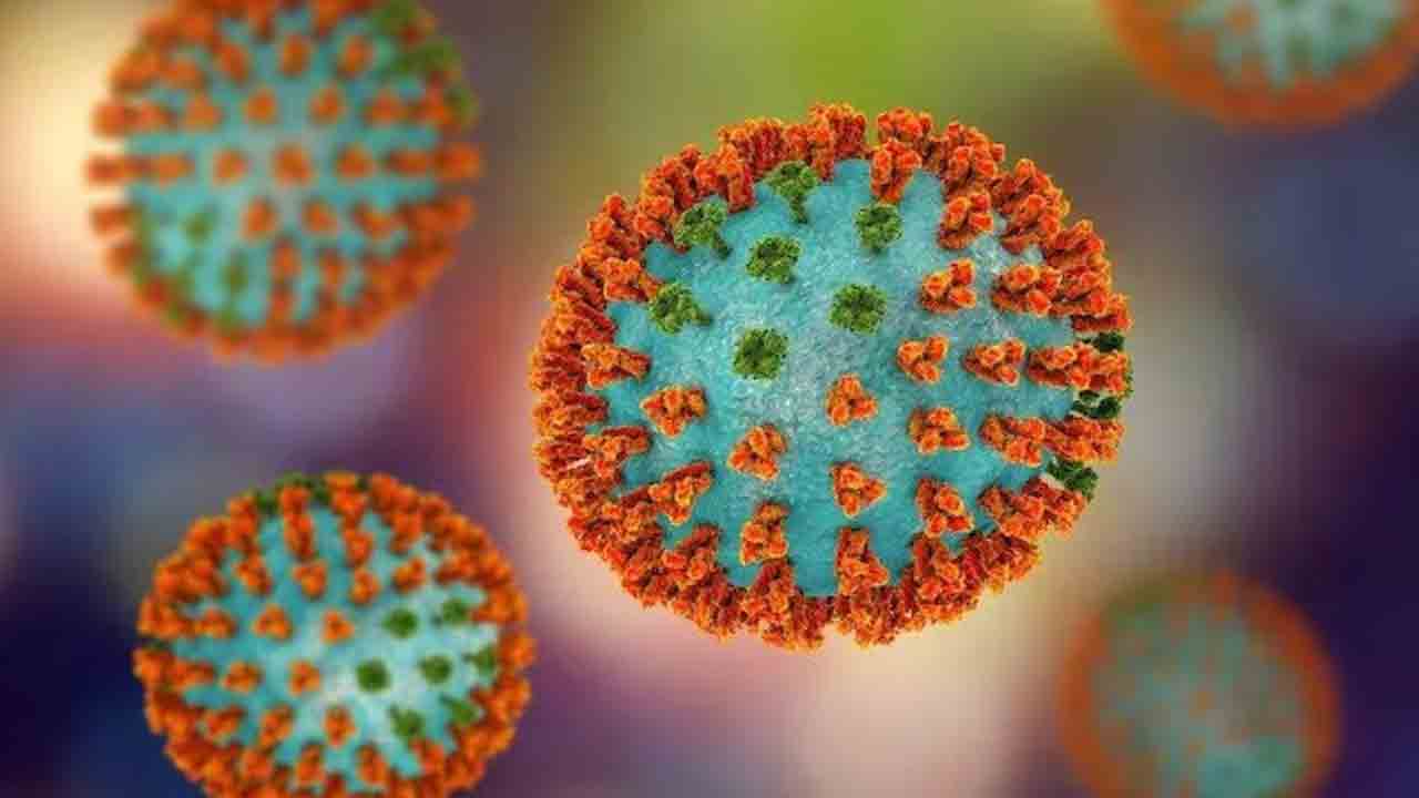 H3N2 Virus  | పెరుగుతున్న ఇన్‌ఫ్లూయెంజా కేసులు.. హెచ్‌3ఎన్‌2తో ఆరుగురు మృతి