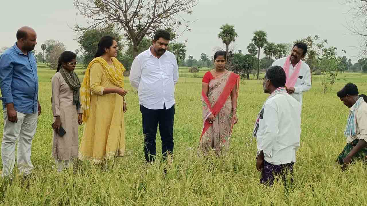 అన్నదాతకు అకాల నష్టం