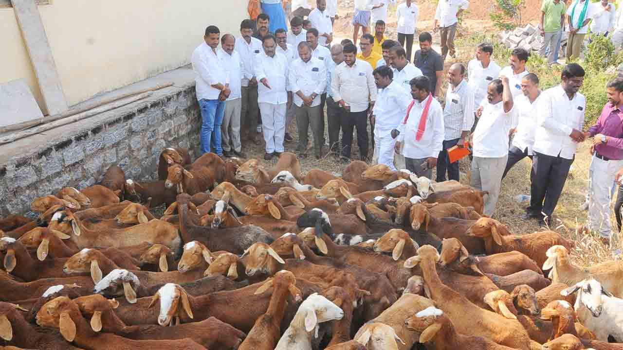 మరో విడుతకు గొర్రెల యూనిట్లు