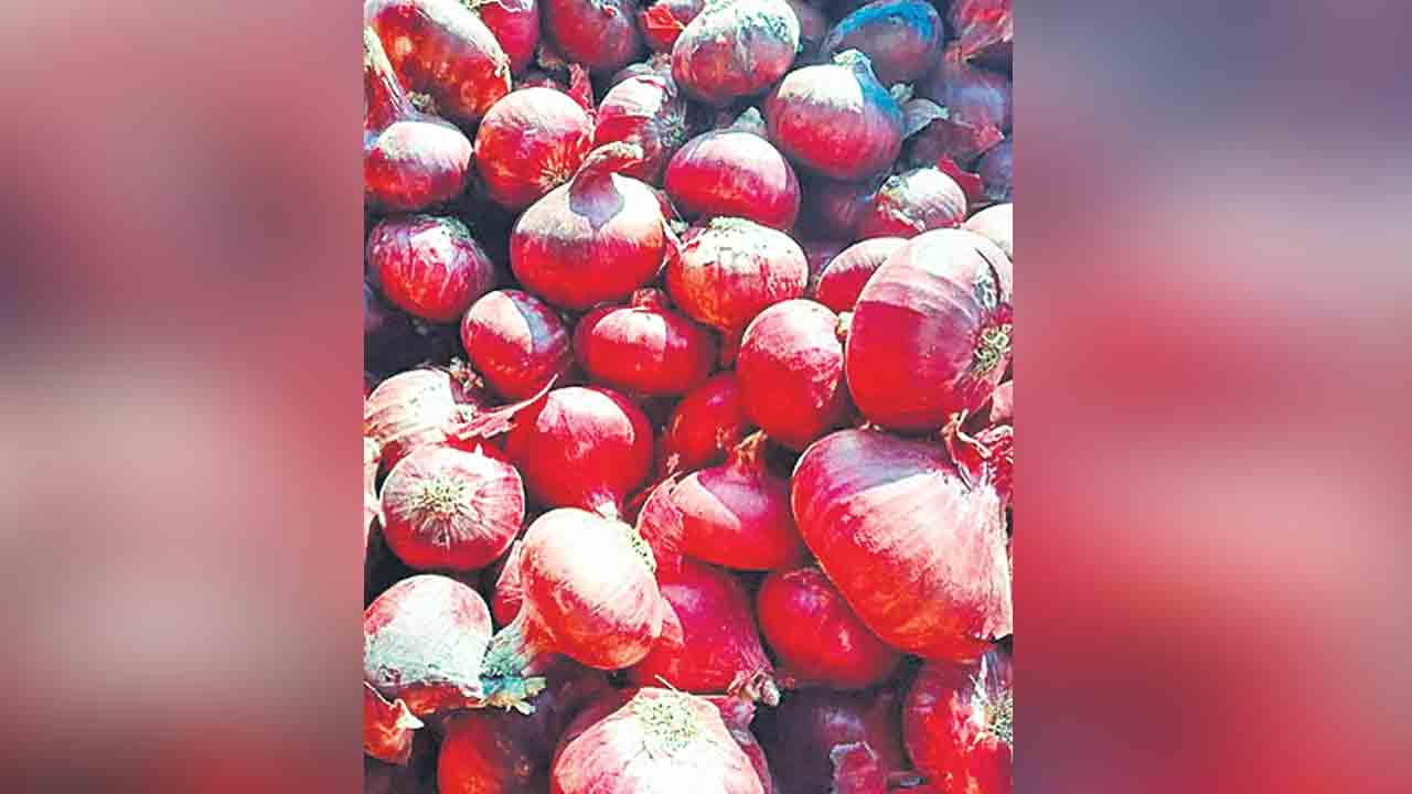 Protest | మోదీకి ఉల్లిపాయలు పార్సిల్‌.. ఉల్లి ధర పతనంపై రైతుల నిరసన