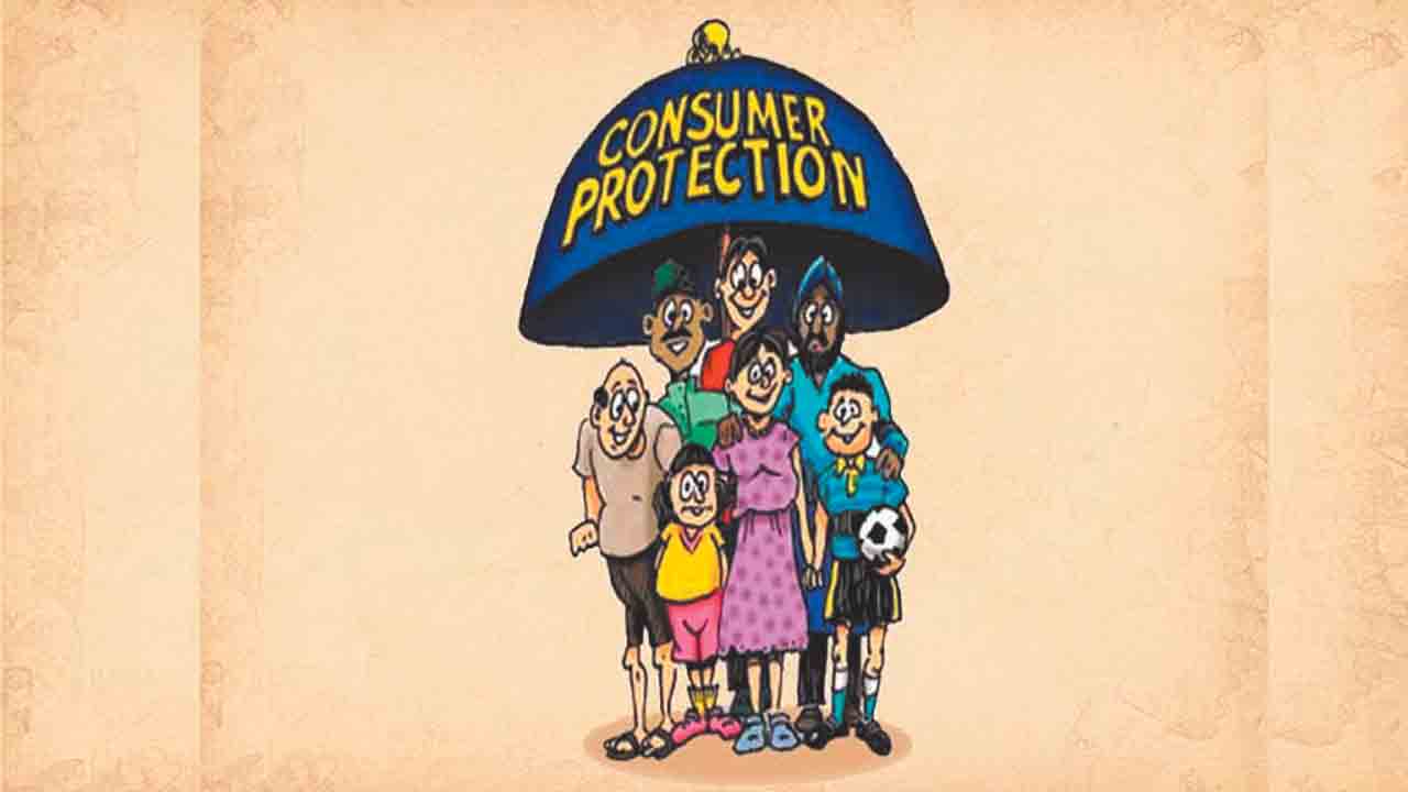 వినియోగ హక్కులు