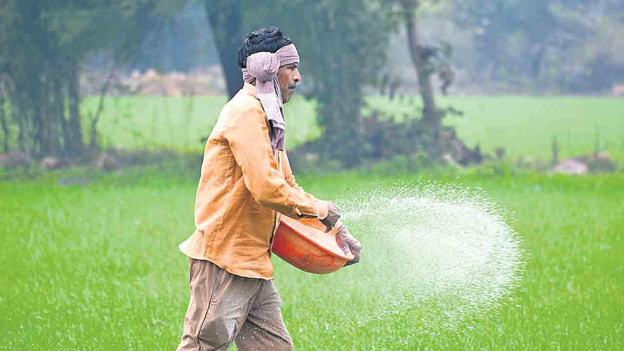 Fertilizer subsidy |  ఎరువుల సబ్సిడీపై మళ్లీ కోత.. గడిచిన ఆర్థిక సంవత్సరంతో పోలిస్తే 22% నిధులు కట్‌