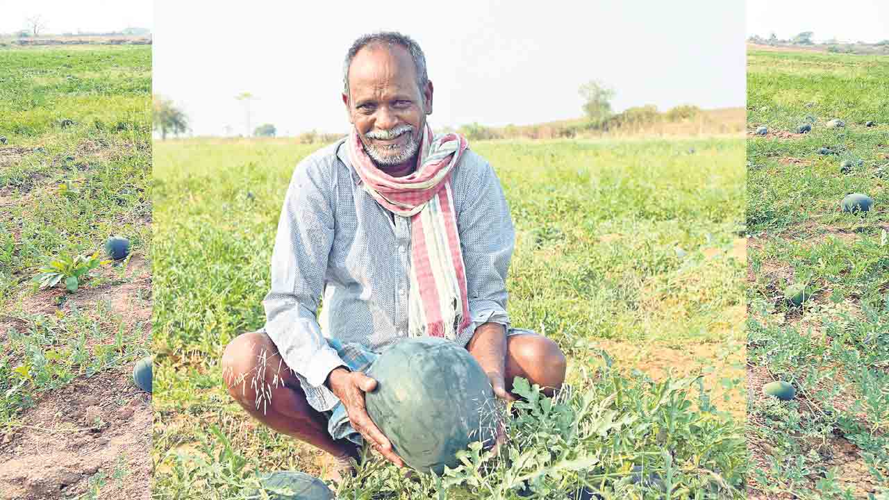 Watermelon |  వాటర్‌మిలన్‌కు ఫుల్‌ డిమాండ్‌.. రైతులకు సిరులు కురిపిస్తున్న పంట