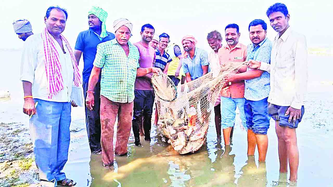 మత్స్యకారులకు సంపద సృష్టిస్తున్న చేపలు