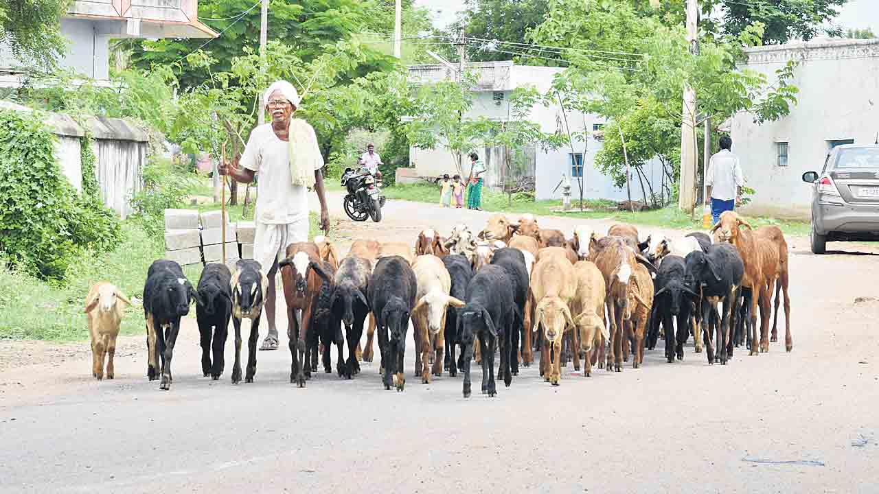 రెండో విడుతకు ఒకే..